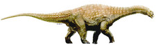 Imagen de Diamantinasaurus