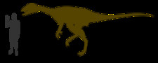Imagen de Dracovenator