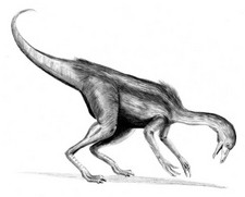 Imagen de Dromiceiomimus