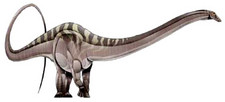 Imagen de Dyslocosaurus