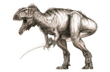 Imagen de Eocarcharia