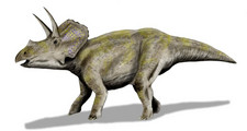 Imagen de Eotriceratops