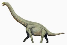 Imagen de Euhelopus