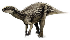 Imagen de Fukuisaurus