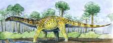 Imagen de Fusuisaurus